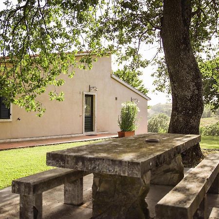 בית הארחה Catabbio 	Country House Poggio Aione מראה חיצוני תמונה