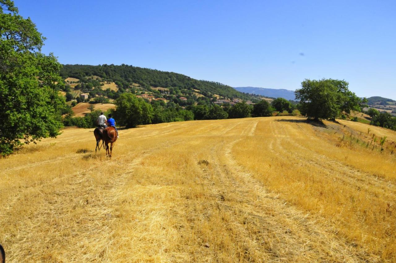 בית הארחה Catabbio 	Country House Poggio Aione מראה חיצוני תמונה