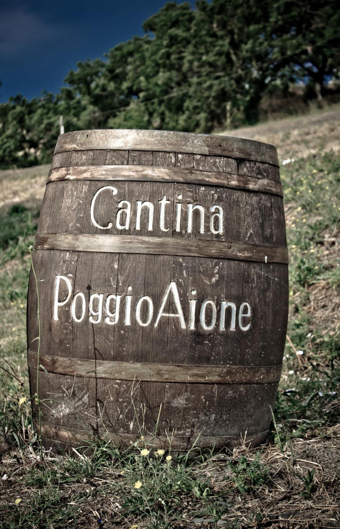בית הארחה Catabbio 	Country House Poggio Aione מראה חיצוני תמונה