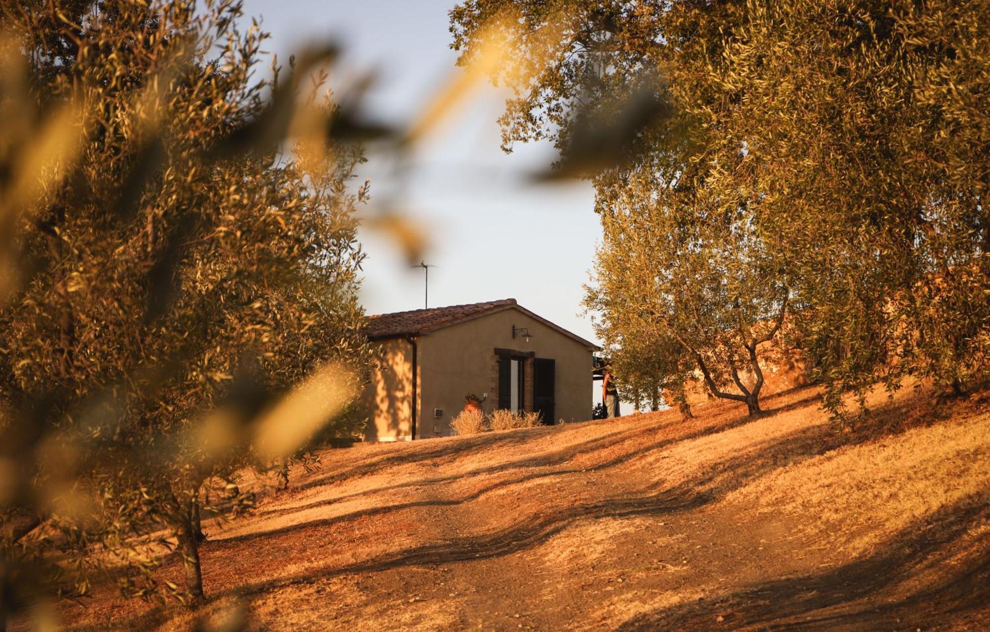 בית הארחה Catabbio 	Country House Poggio Aione מראה חיצוני תמונה