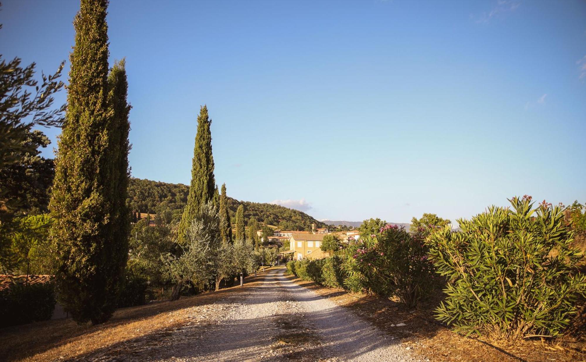 בית הארחה Catabbio 	Country House Poggio Aione מראה חיצוני תמונה