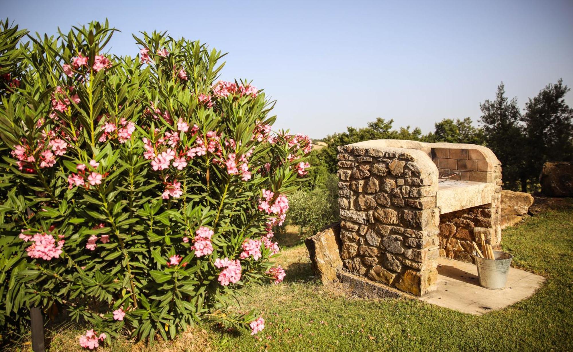 בית הארחה Catabbio 	Country House Poggio Aione מראה חיצוני תמונה
